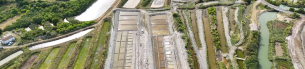Devenez saunier/saunière : un espace-test arrive sur l’Île d’Oléron