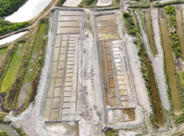 Devenez saunier/saunière : un espace-test arrive sur l’Île d’Oléron