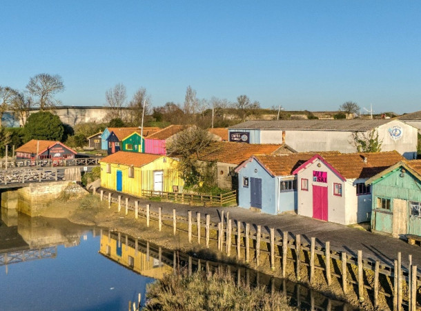 Sel Océan : retour sur la première saison d’une jeune entreprise oléronaise